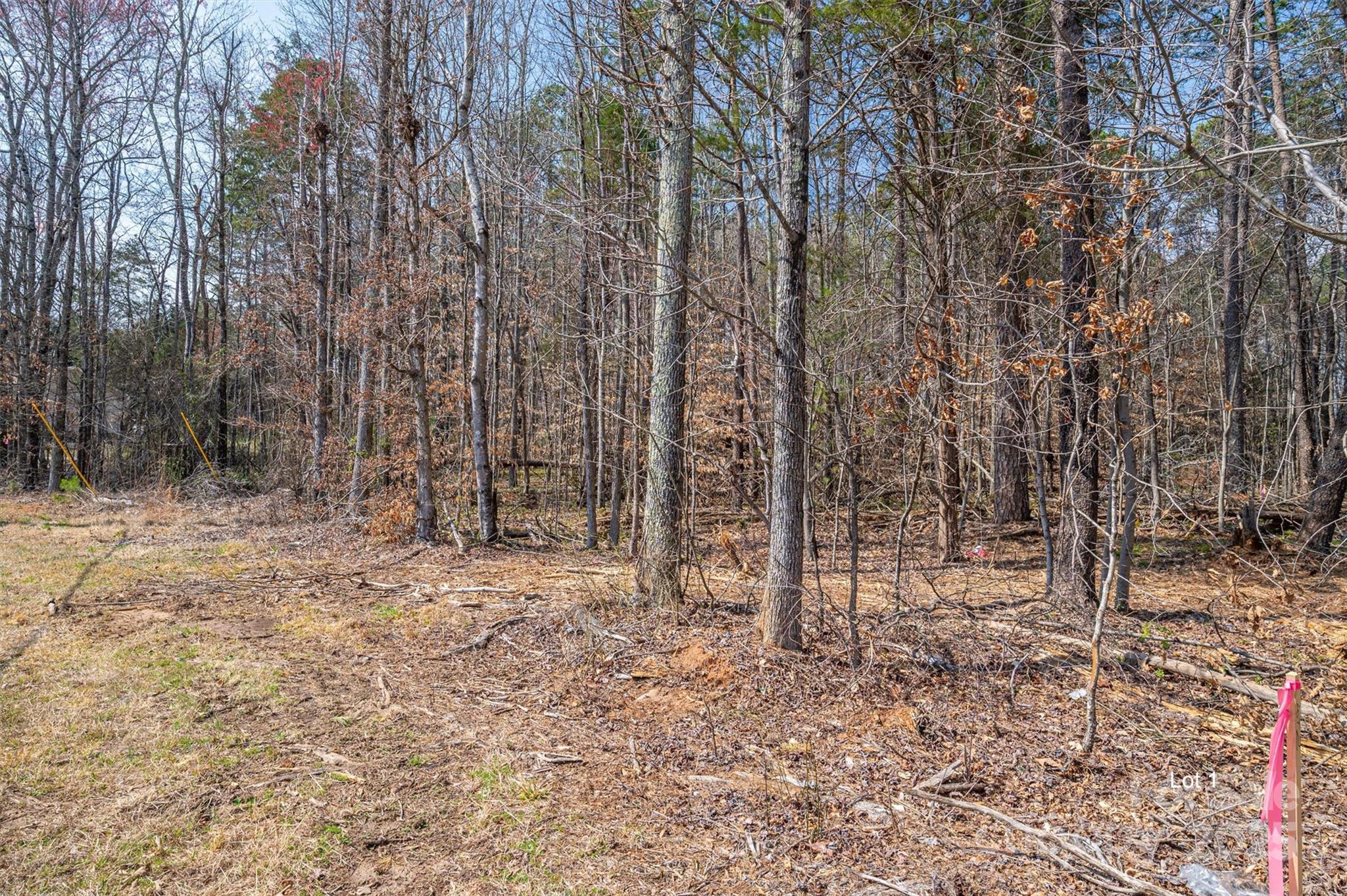 Property image 2 of 00 Forney Hill Road in The Oaks at Forney Hill, Denver, NC 28037