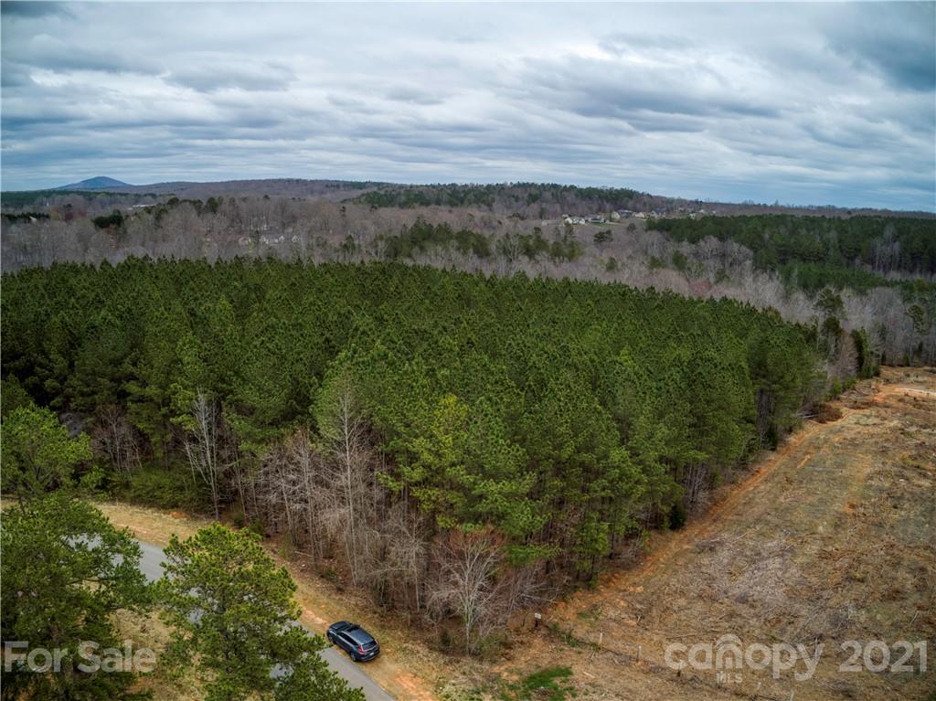 Property image 2 of 105 Trent Pines Drive in Woodleaf, Mooresville, NC 28117