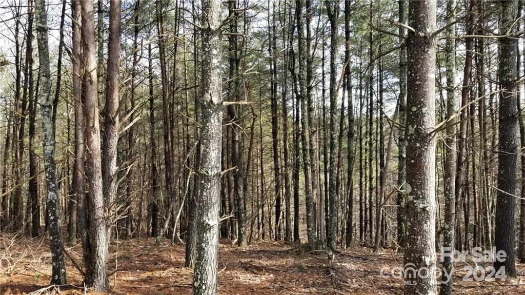 Property image 3 of 1111 Table View Drive in Old Oaks Estates, Morganton, NC 28655