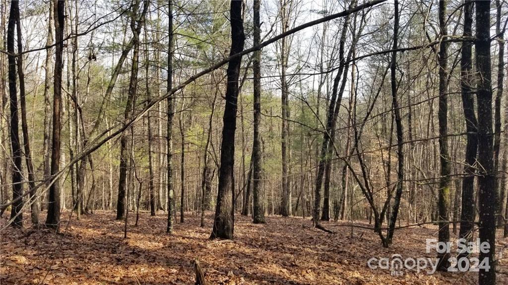 Property image 4 of 1111 Table View Drive in Old Oaks Estates, Morganton, NC 28655