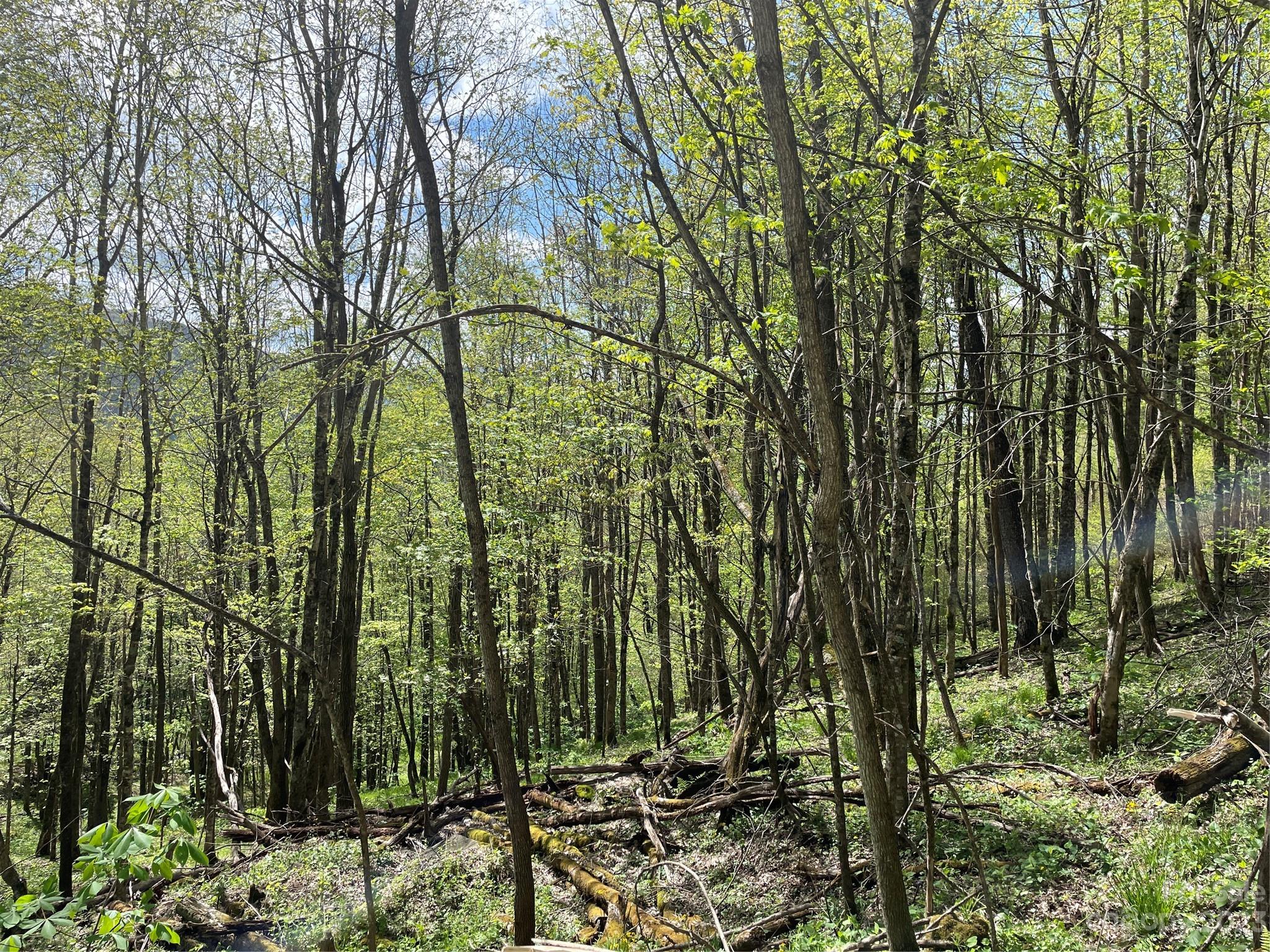 Property image 3 of 000 Peregrine Lane in Valley of Roan, Bakersville, NC 28705