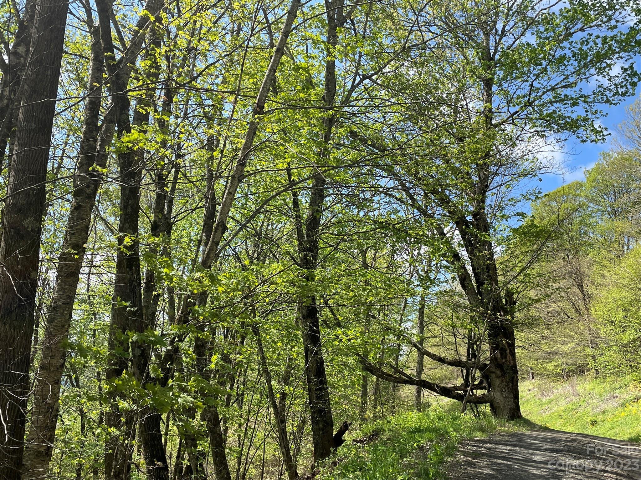 Property image 4 of 000 Peregrine Lane in Valley of Roan, Bakersville, NC 28705