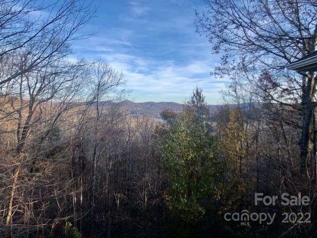 Property image 2 of 160 Sunrise Ridge Road in Swiss Pine Lake, Spruce Pine, NC 28777