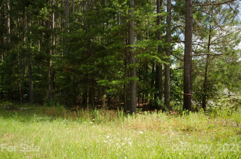 Property image 2 of Lot 8 Lee Lawing Road in Lincoln Estates, Lincolnton, NC 28092