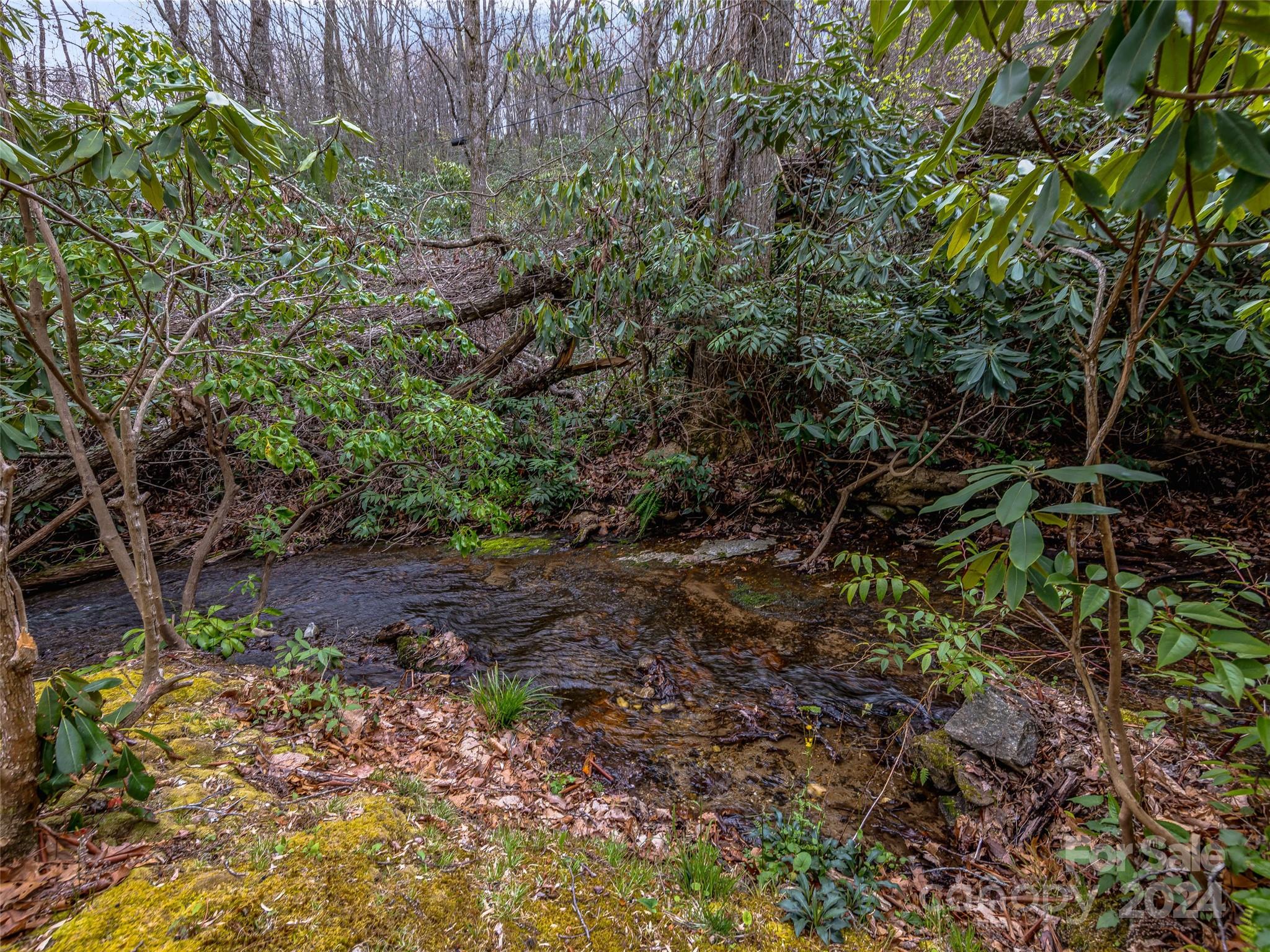 Property image 5 of 500 Davis Mountain Road in Country Ridge, Laurel Park, NC 28739