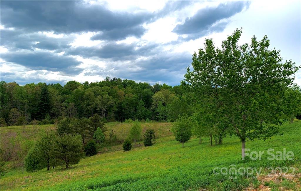 Property image 3 of 1022 Table View Drive in Old Oaks Estates, Morganton, NC 28655
