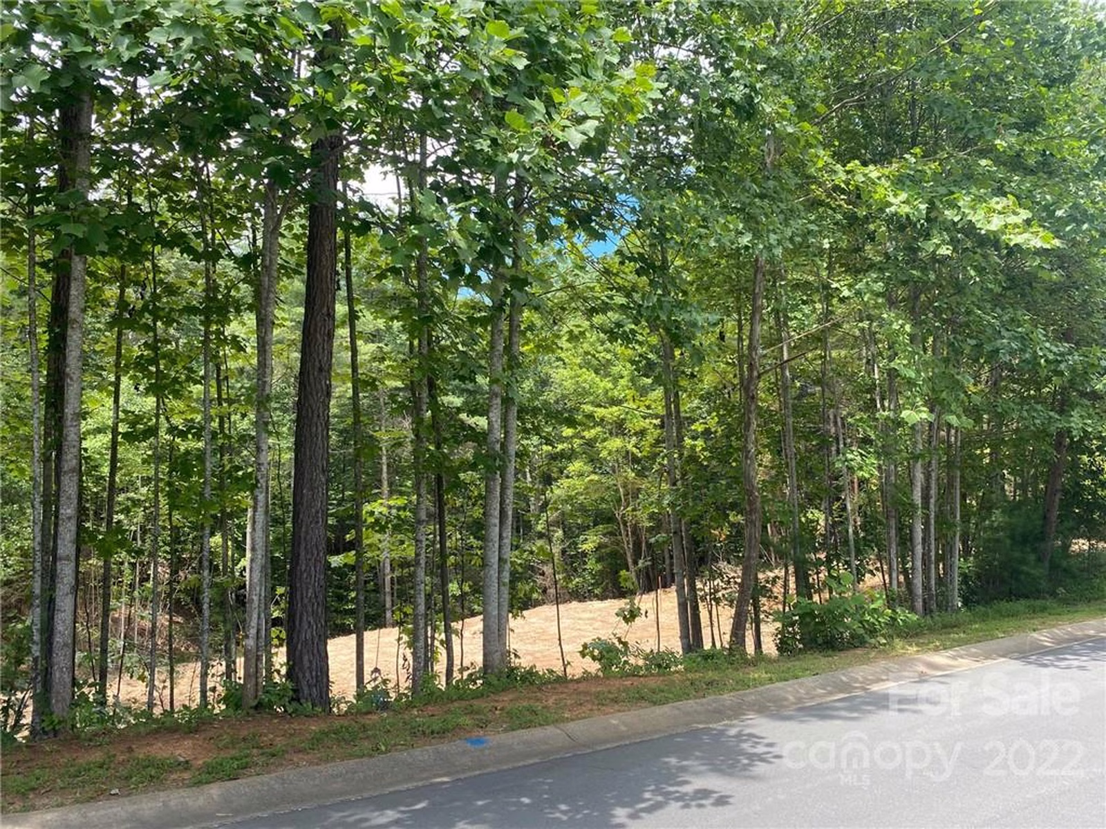 Property image 1 at V L 61 Waterglyn Way, Nebo, NC 28761