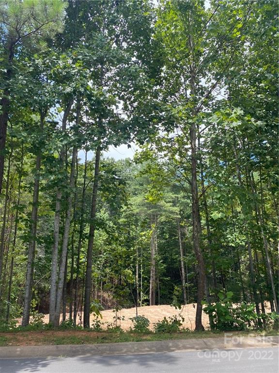 Property image 2 of V L 61 Waterglyn Way in Waterglyn, Nebo, NC 28761