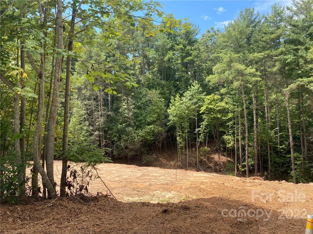 Property image 3 of V L 61 Waterglyn Way in Waterglyn, Nebo, NC 28761