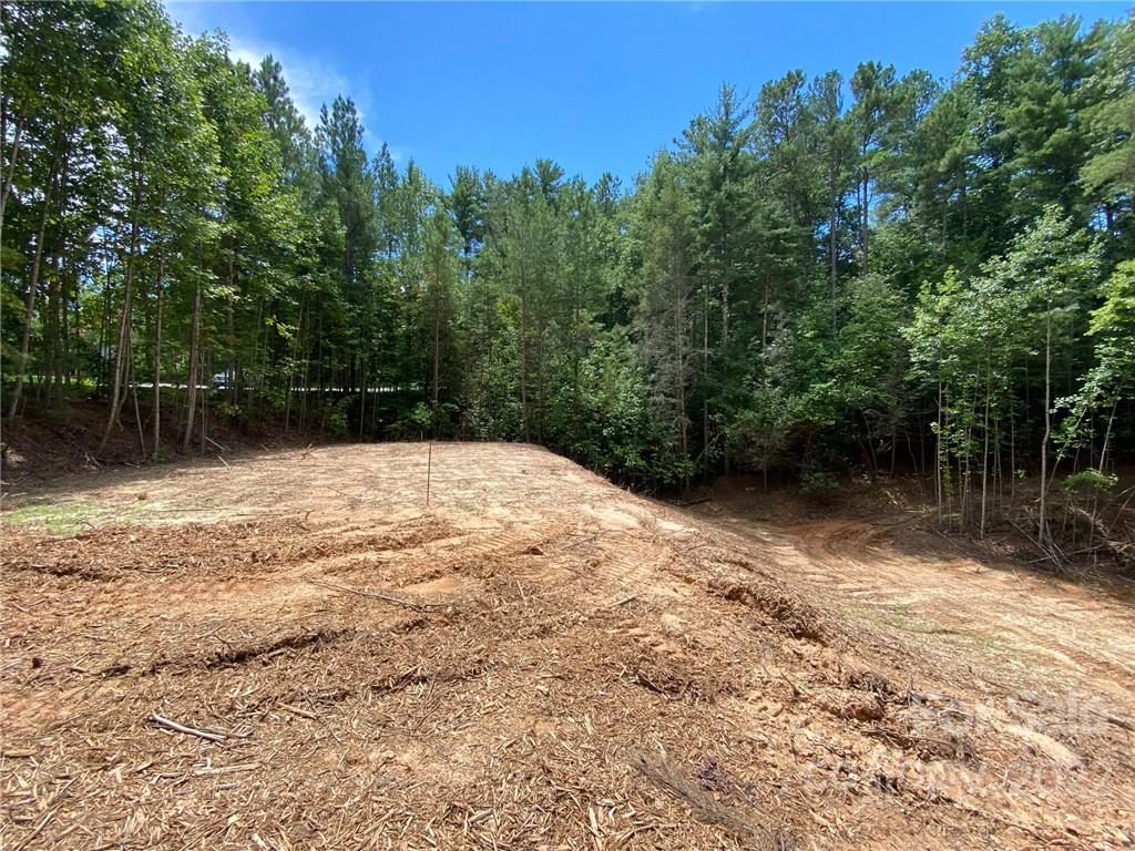 Property image 5 of V L 61 Waterglyn Way in Waterglyn, Nebo, NC 28761
