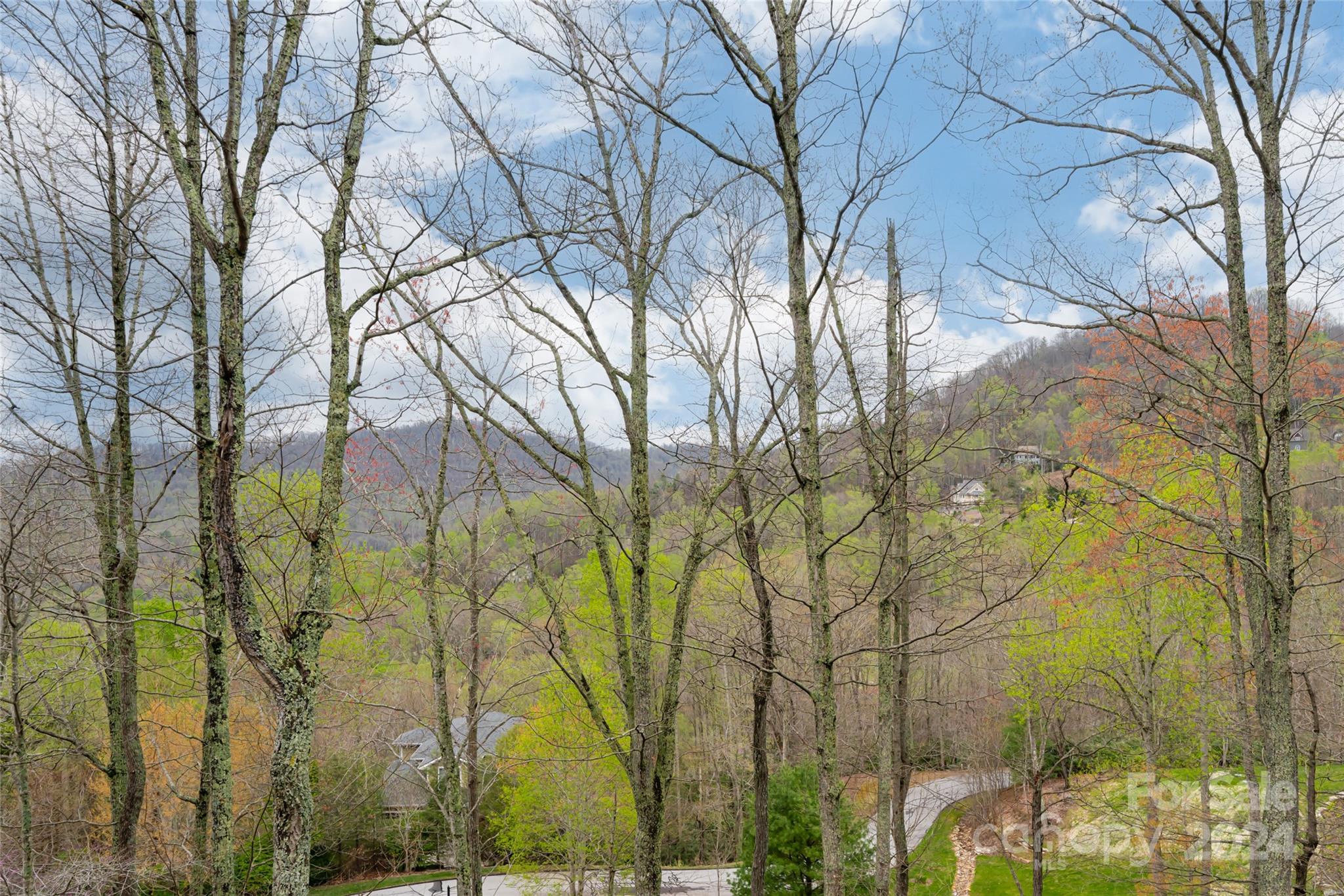 Property image 3 of 33 Hearthstone Drive in Poplar Ridge, Asheville, NC 28803