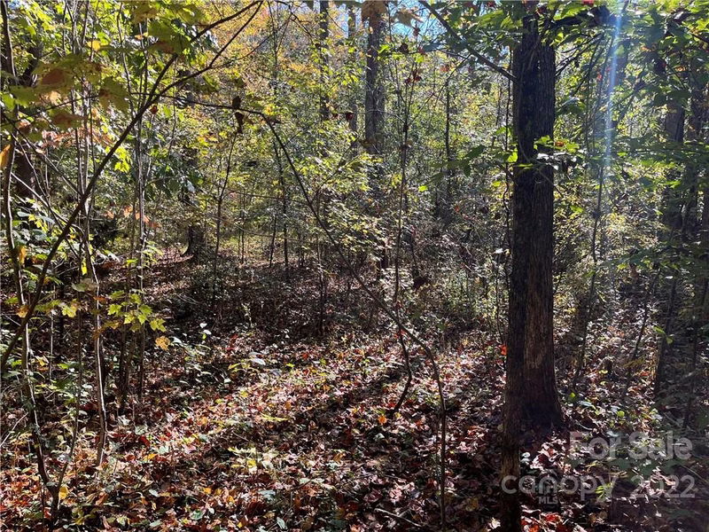 Property image 2 at Tbd Haven Heights Drive, Marion, NC 28752