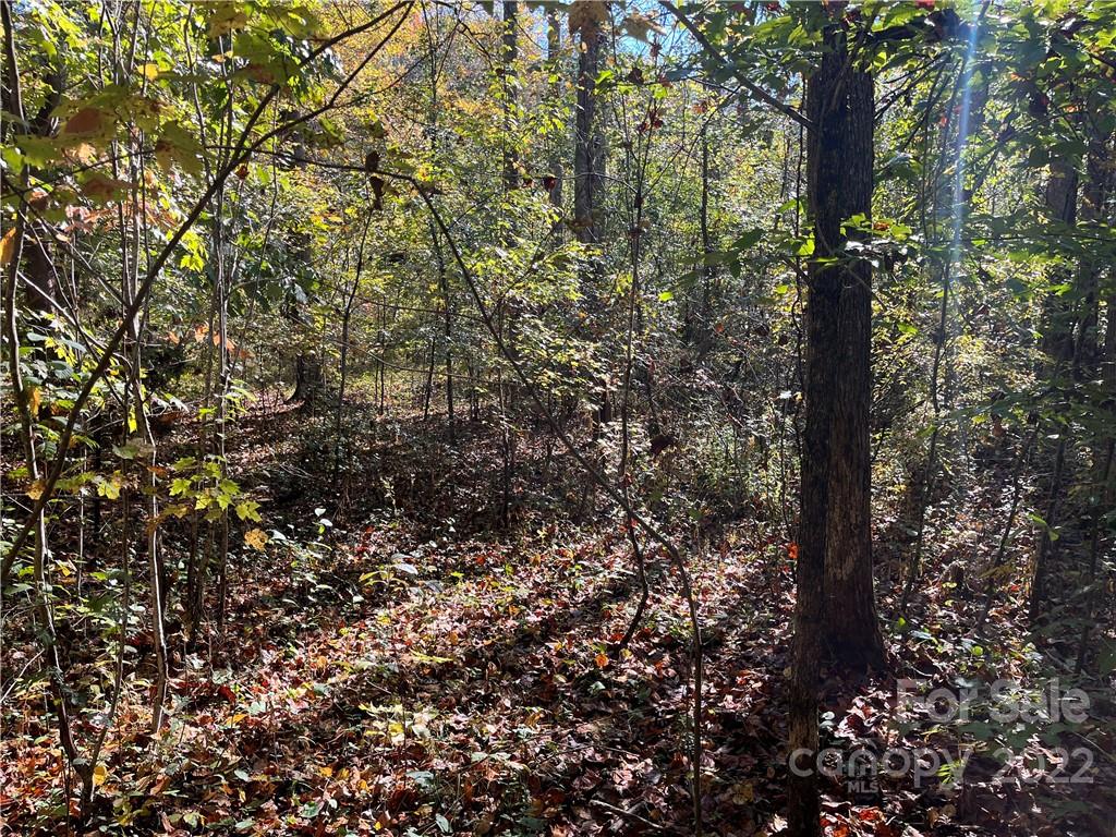 Property image 2 of Tbd Haven Heights Drive in Haven Heights, Marion, NC 28752