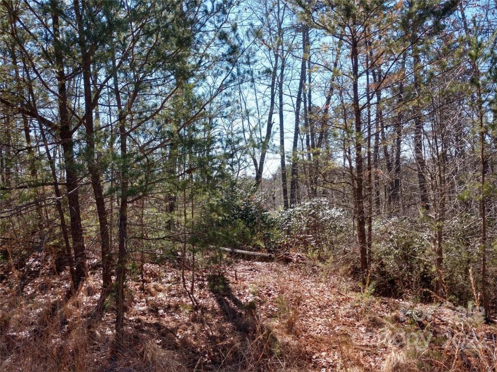 Property image 3 of 00 Bald Eagle Lane in Lakewood, Marion, NC 28752