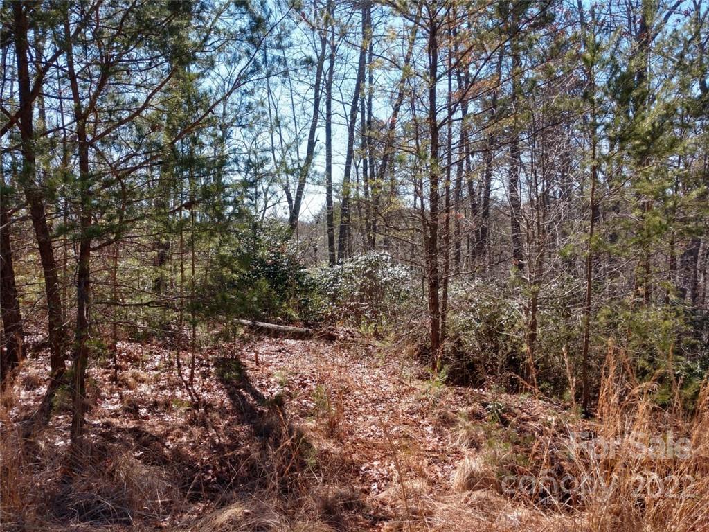 Property image 4 of 00 Bald Eagle Lane in Lakewood, Marion, NC 28752