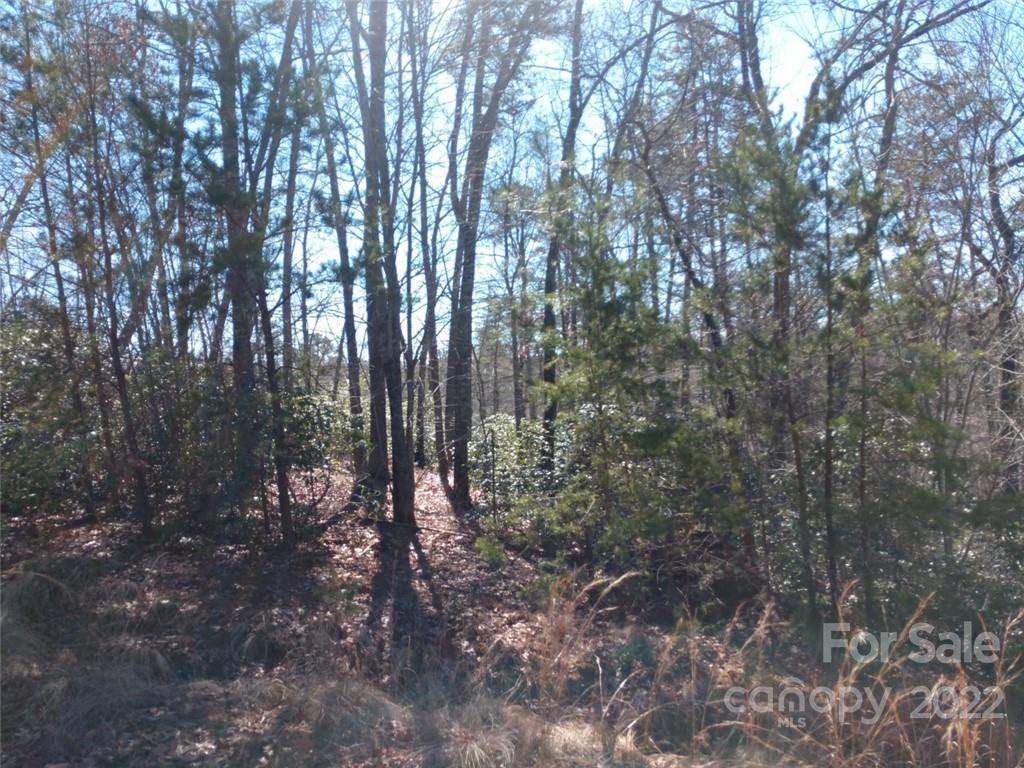 Property image 5 of 00 Bald Eagle Lane in Lakewood, Marion, NC 28752