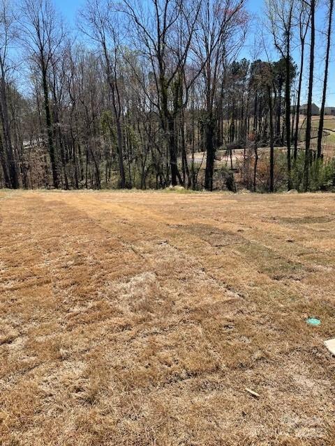 Property image 5 of 107 Windstone Common Lane in Lakeshore at Windstone, Mooresville, NC 28117