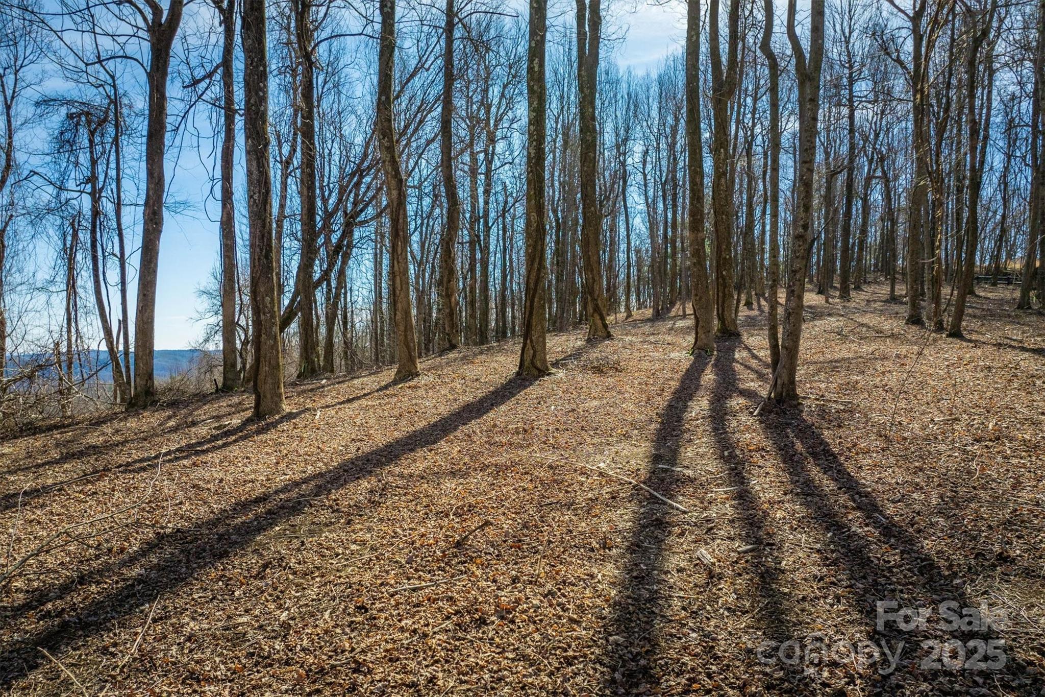 Property image 4 of 7596 Walkertop Mtn Overlook Drive in Walkertop Mountain Overlook, Morganton, NC 28655