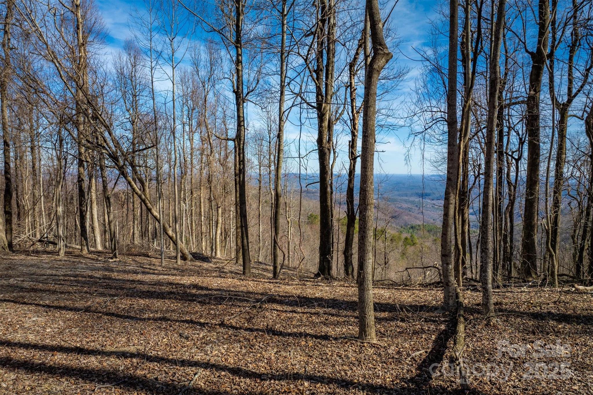 Property image 5 of 7596 Walkertop Mtn Overlook Drive in Walkertop Mountain Overlook, Morganton, NC 28655