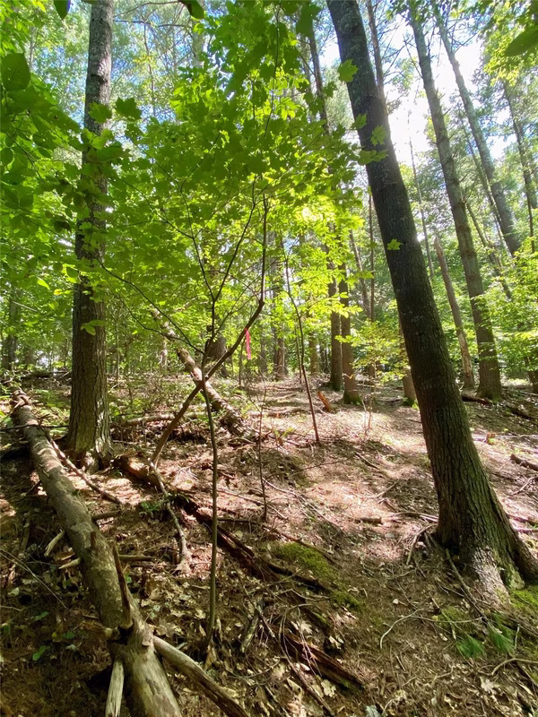 Property image 3 at 199 Lentz Landing Lane, Nebo, NC 28761