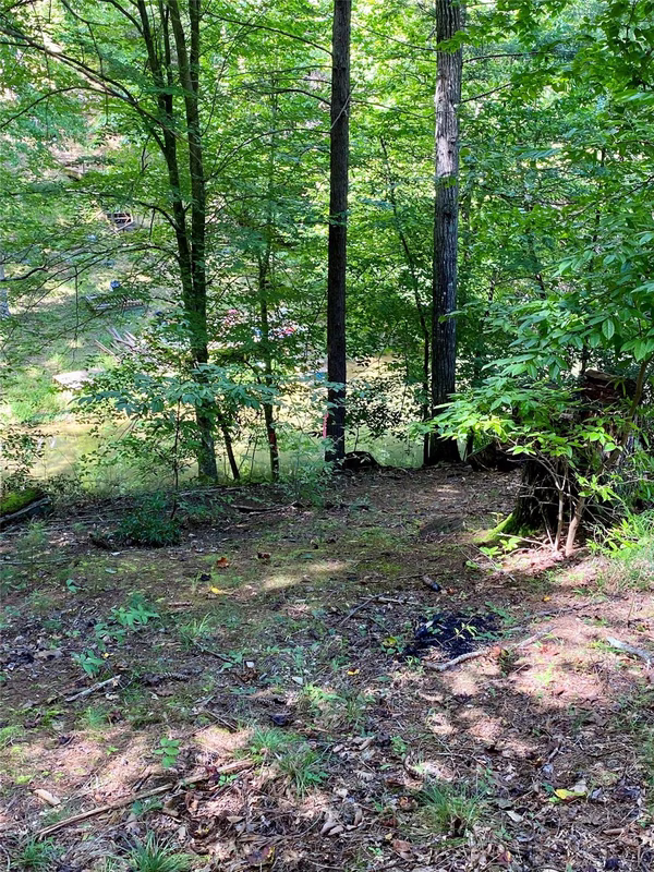 Property image 4 at 199 Lentz Landing Lane, Nebo, NC 28761