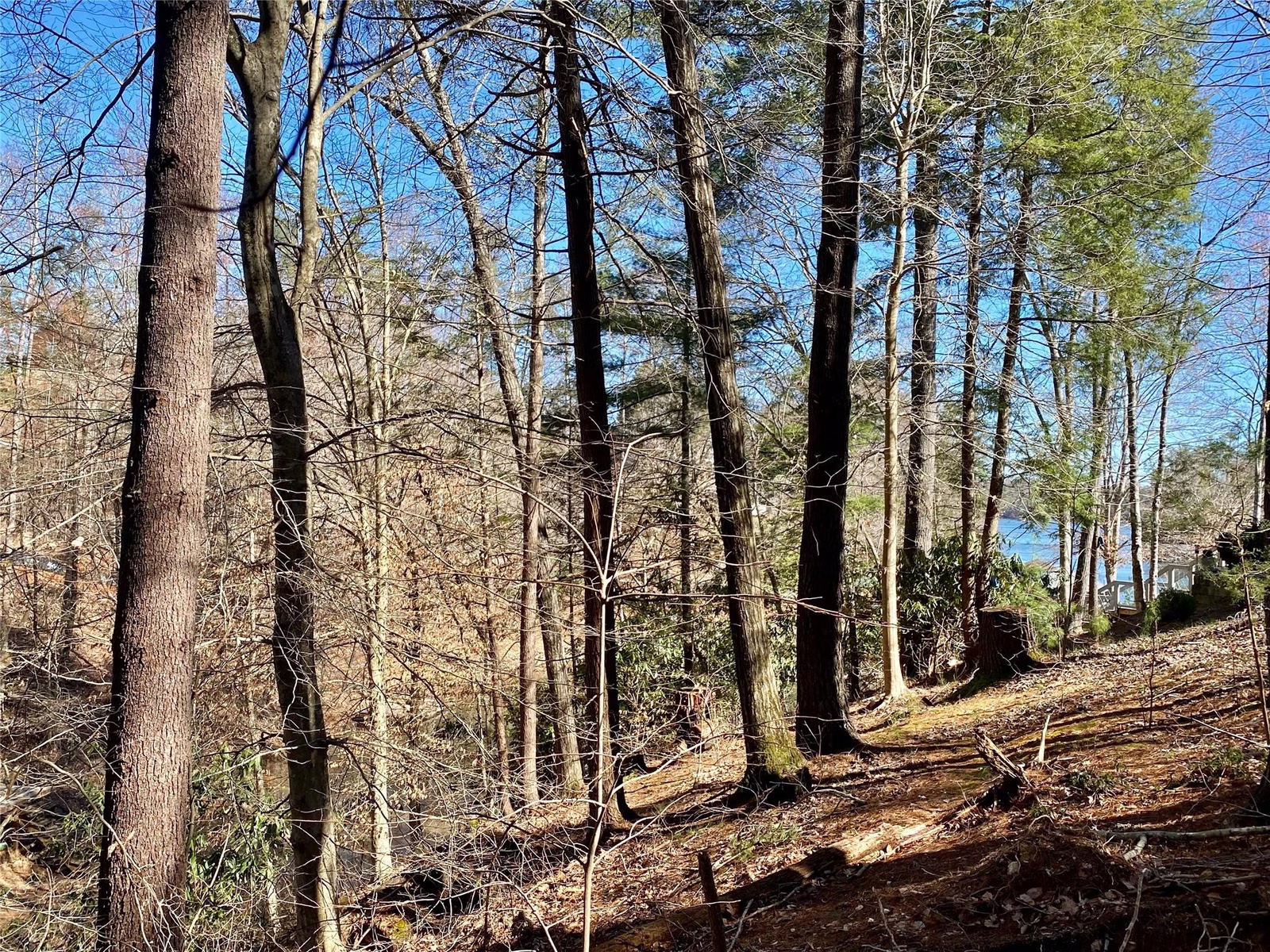 Property image 1 at 199 Lentz Landing Lane, Nebo, NC 28761