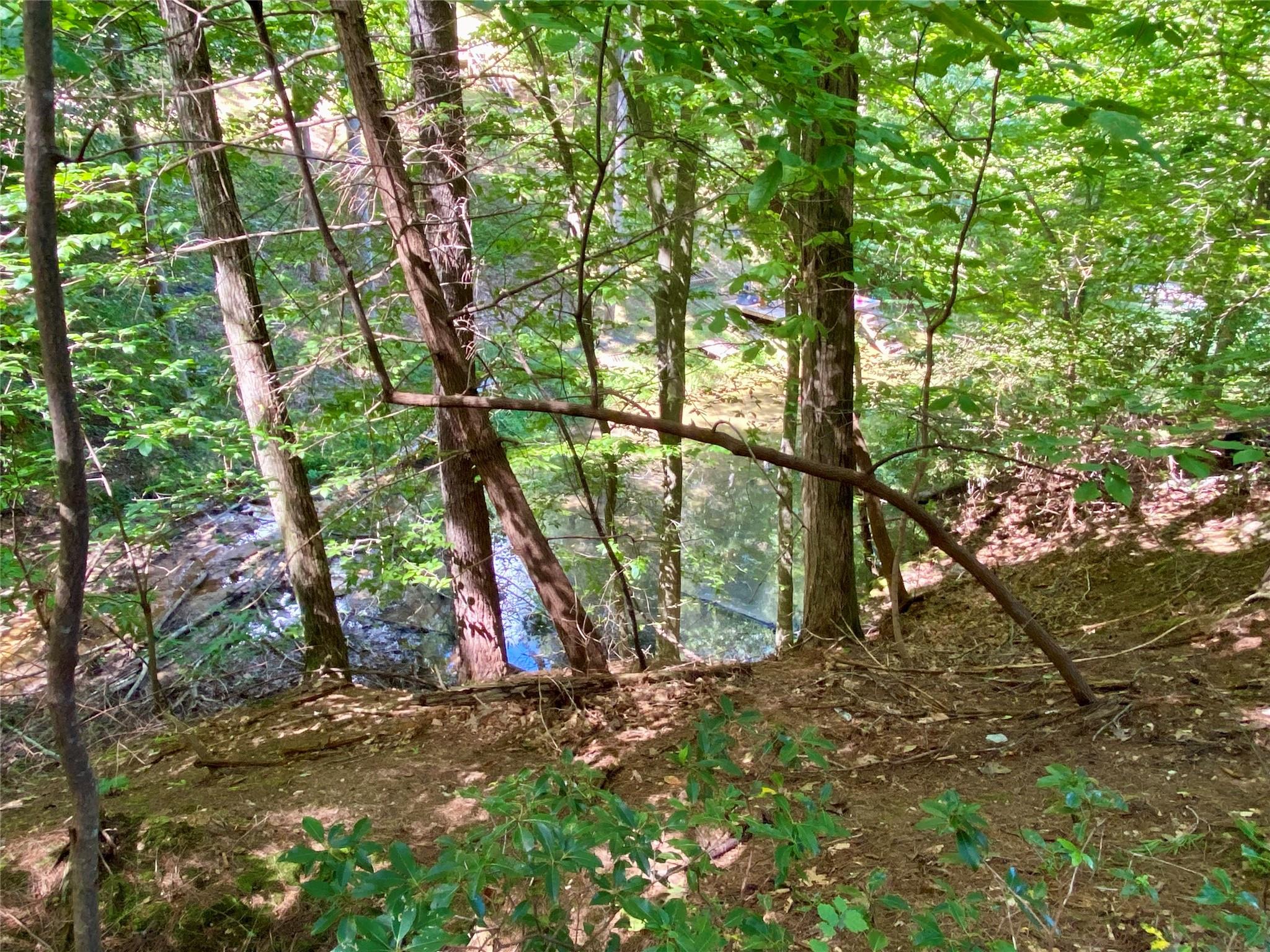 Property image 2 of 199 Lentz Landing Lane in Waterglyn, Nebo, NC 28761