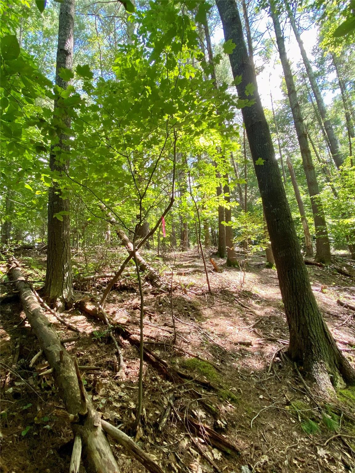 Property image 3 of 199 Lentz Landing Lane in Waterglyn, Nebo, NC 28761