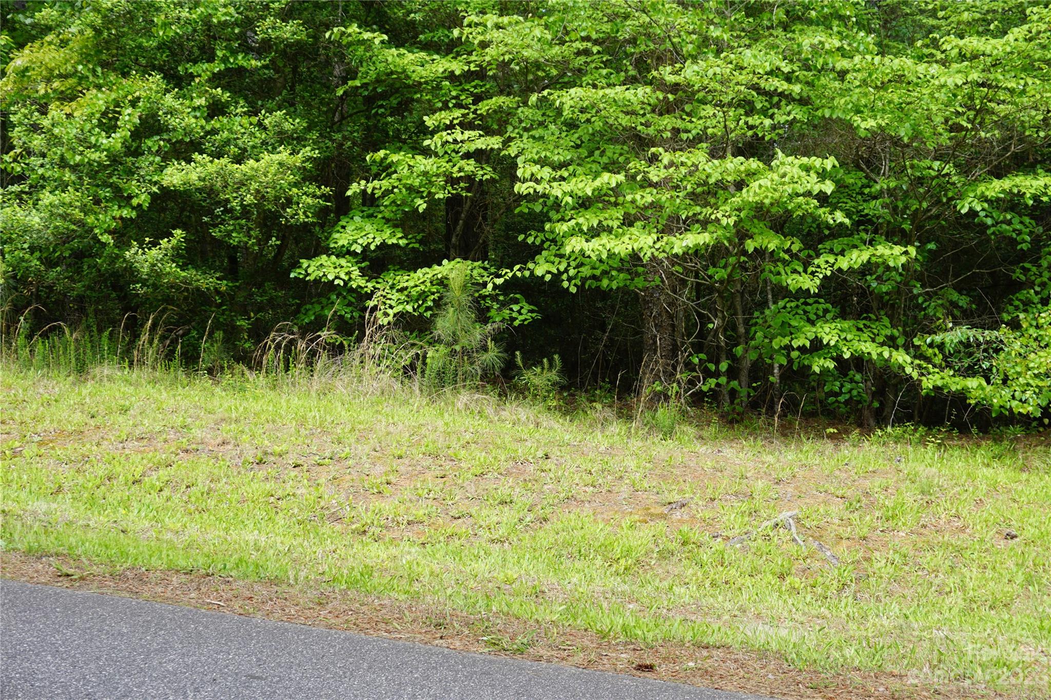 Property image 3 of 6088 Plantation Pointe Drive in Plantation Pointe, Granite Falls, NC 28630