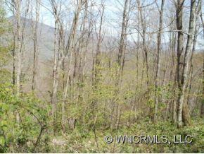 Property image 3 of 92 94 Bear Ridge Road in Bear Ridge, Bakersville, NC 28705