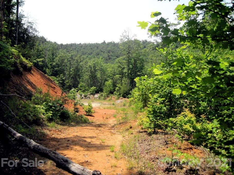 Property image 2 of Xxx Forest Park Court in Pisgah Forest Farms, Pisgah Forest, NC 28768