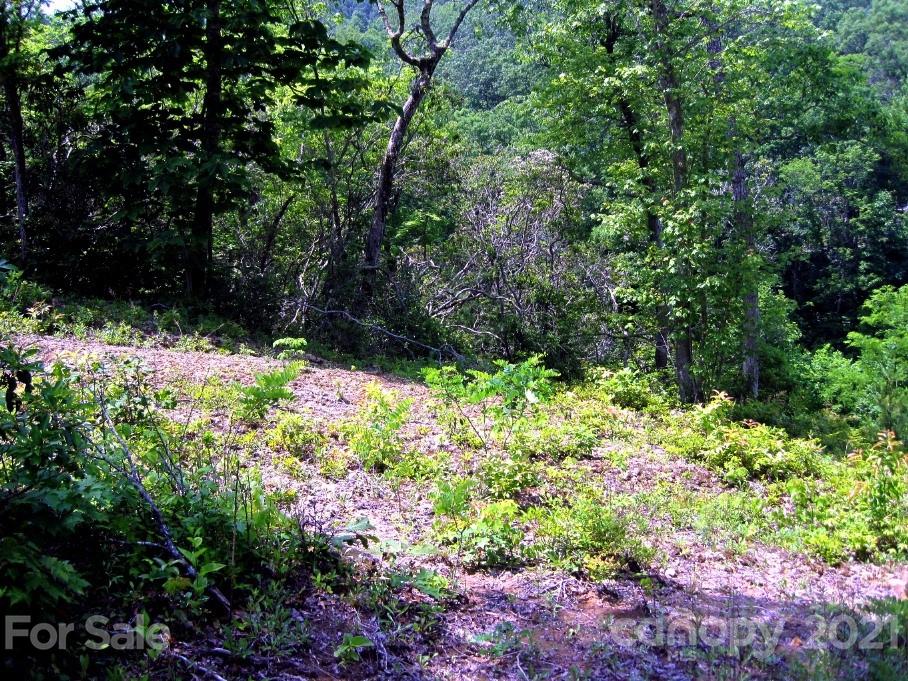 Property image 3 of Xxx Forest Park Court in Pisgah Forest Farms, Pisgah Forest, NC 28768