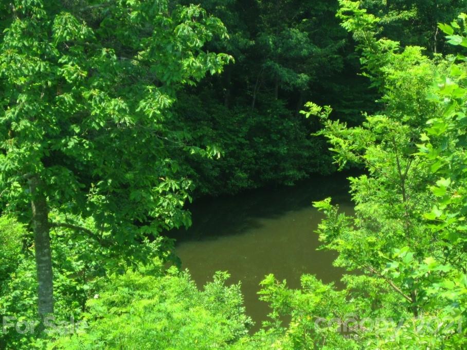 Property image 4 of Xxx Forest Park Court in Pisgah Forest Farms, Pisgah Forest, NC 28768