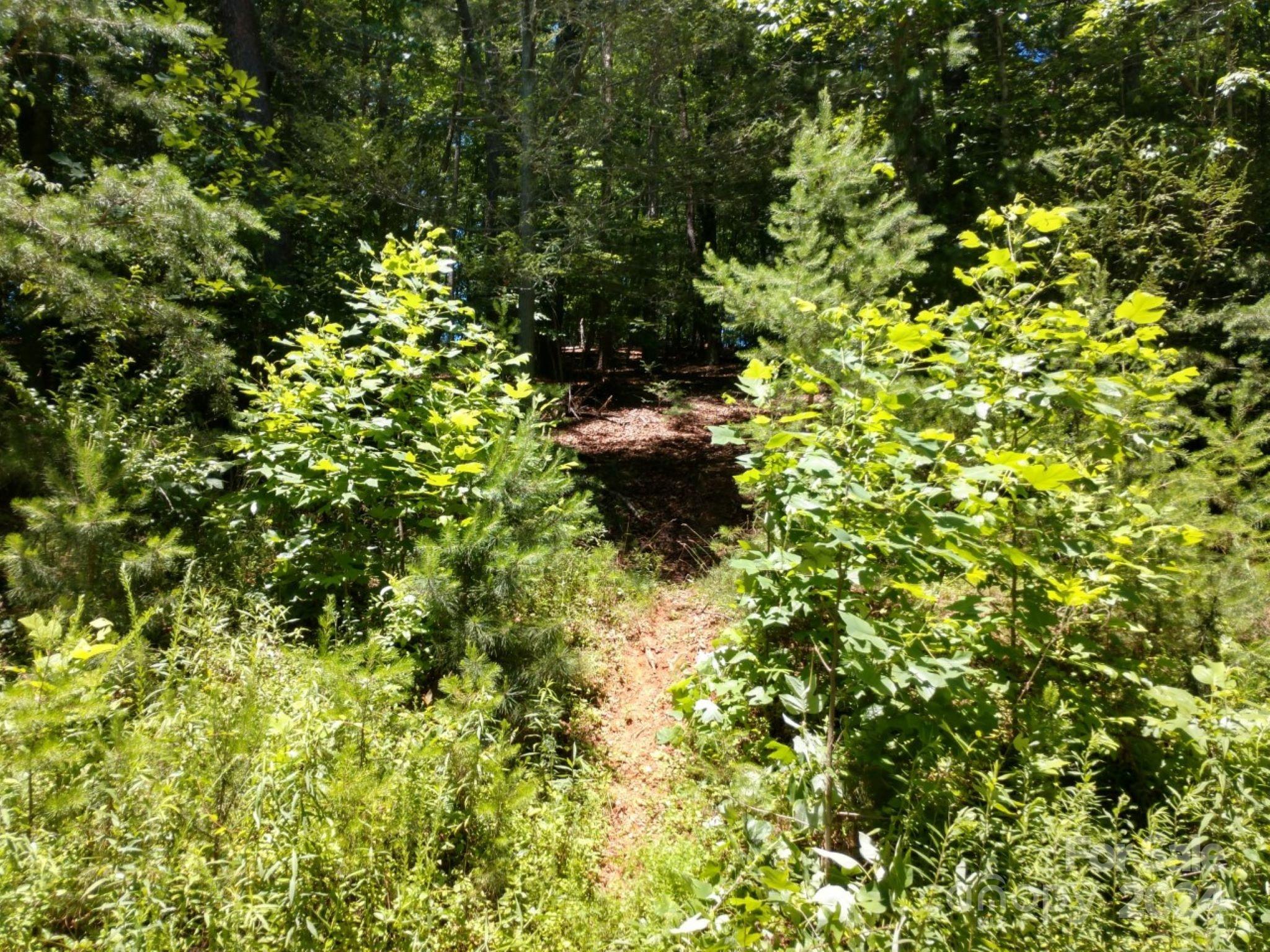 Property image 3 of 00 James View Road in Lakewood, Marion, NC 28752