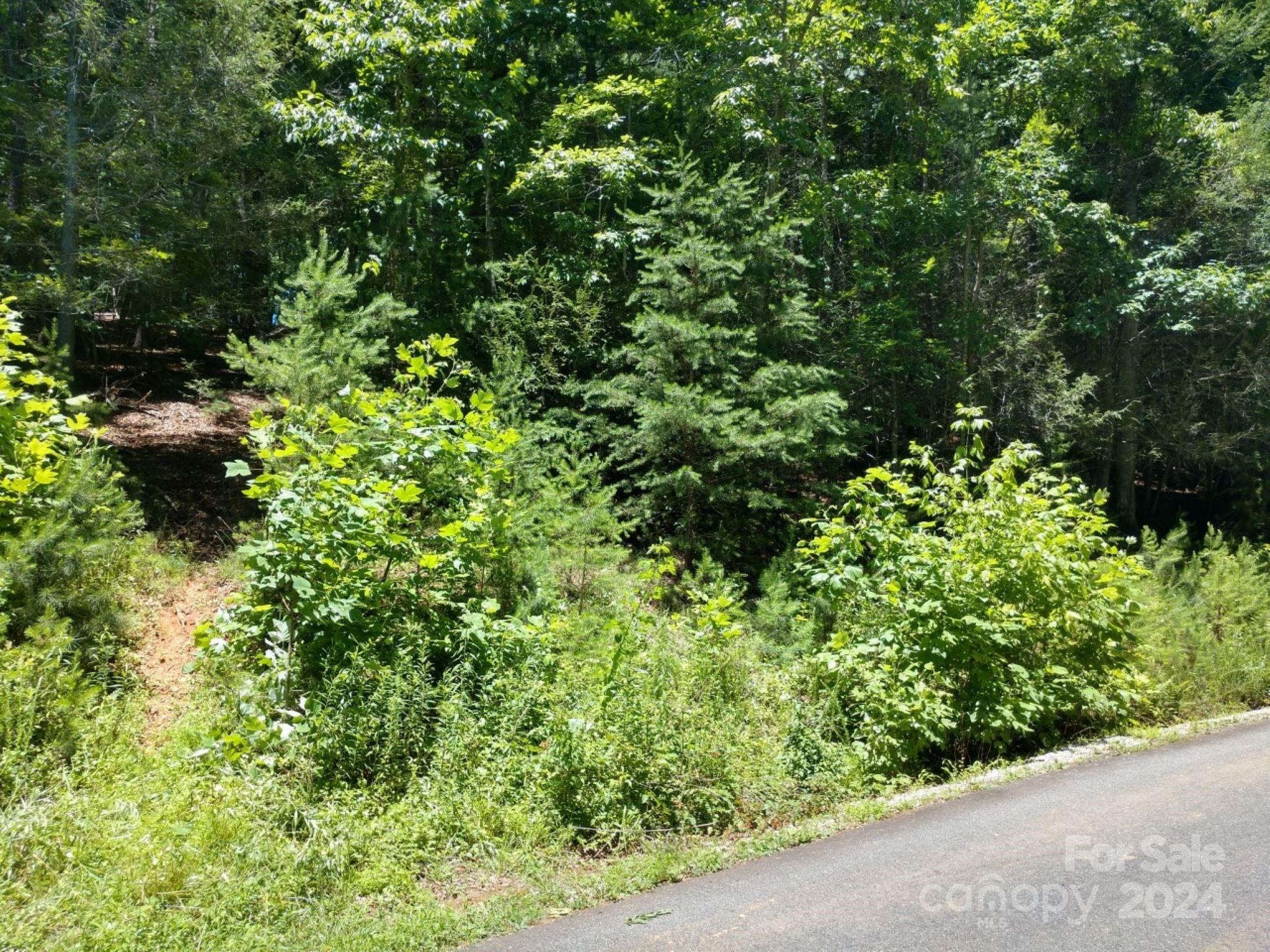 Property image 4 of 00 James View Road in Lakewood, Marion, NC 28752