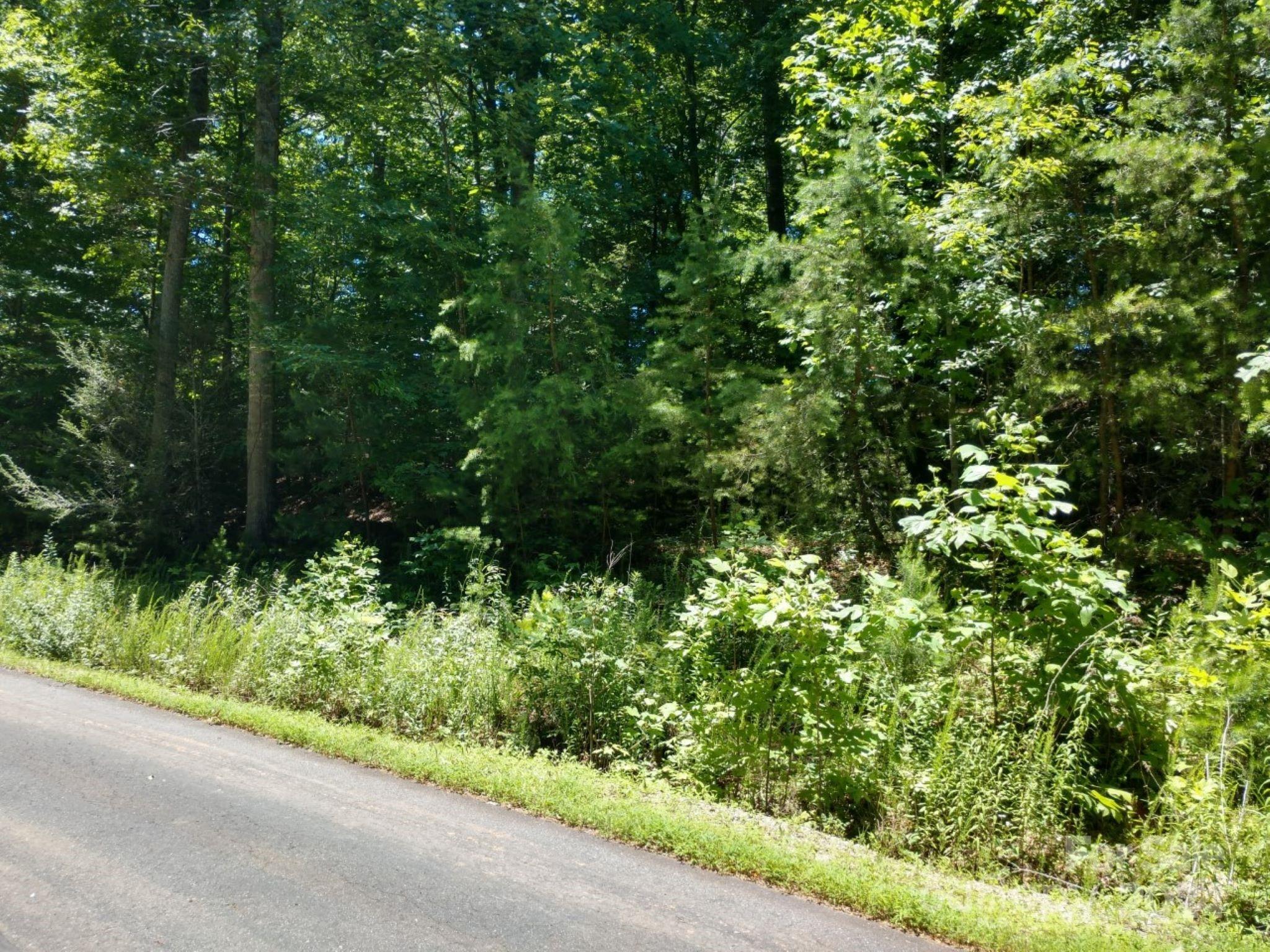 Property image 5 of 00 James View Road in Lakewood, Marion, NC 28752
