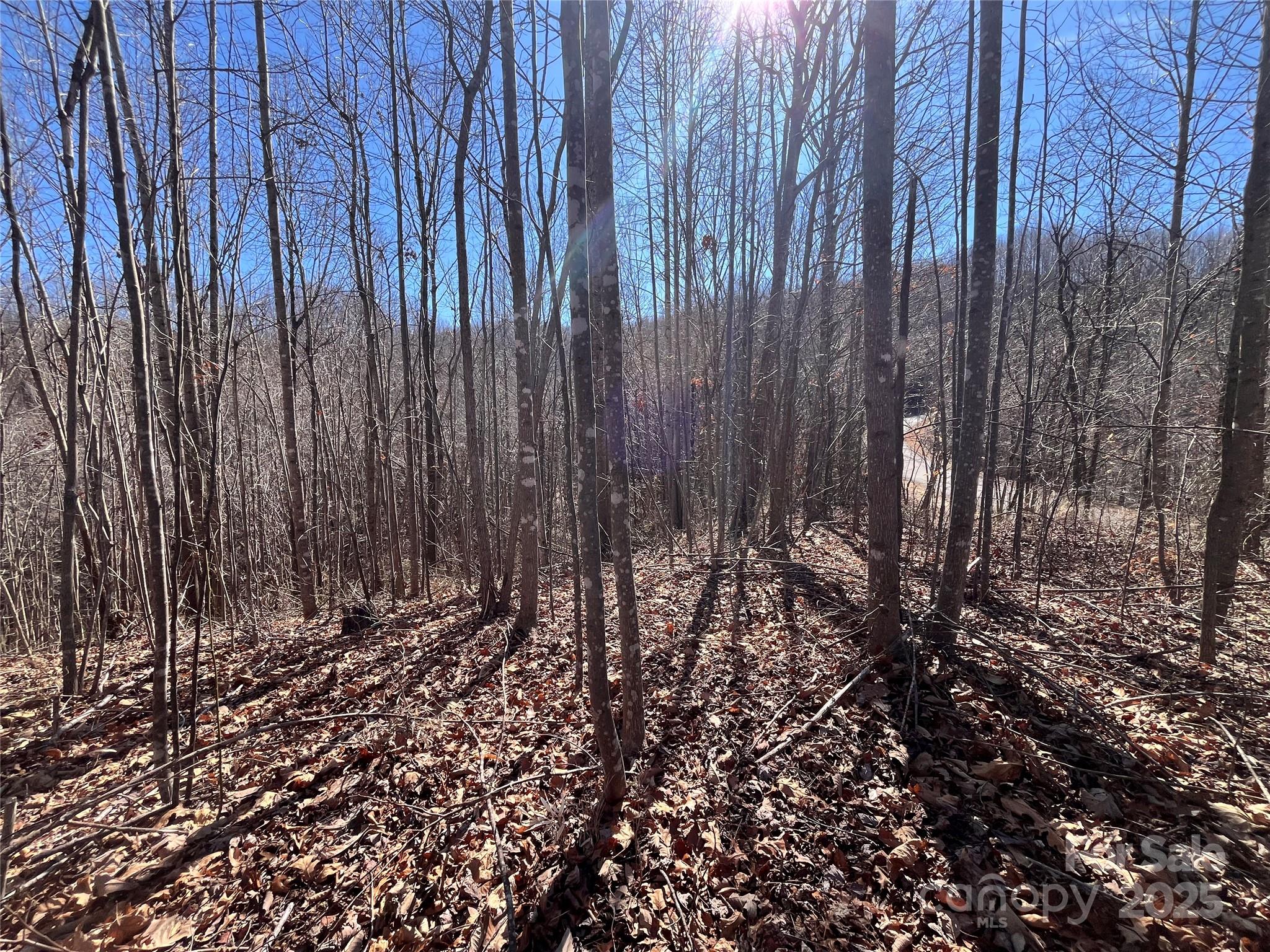Property image 2 of Lot 156 Kenwood Court in Forest Heights, Marion, NC 28752