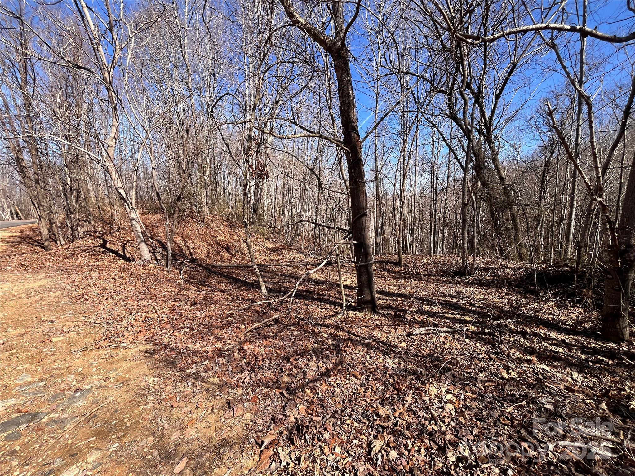 Property image 3 of Lot 156 Kenwood Court in Forest Heights, Marion, NC 28752