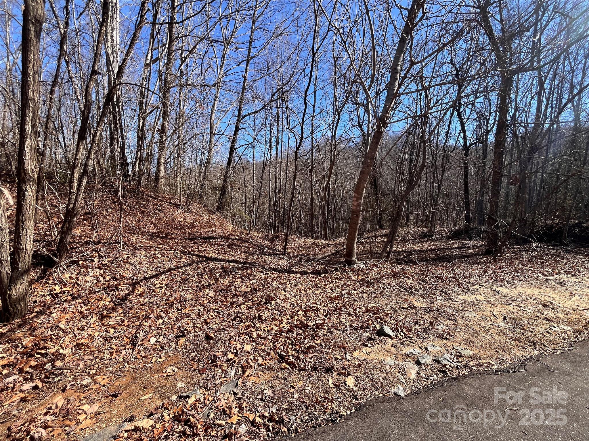 Property image 4 of Lot 156 Kenwood Court in Forest Heights, Marion, NC 28752