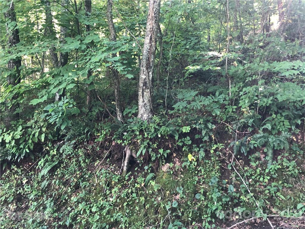 Property image 4 of 0000 Miners Ridge Drive in The Reserve, Burnsville, NC 28714