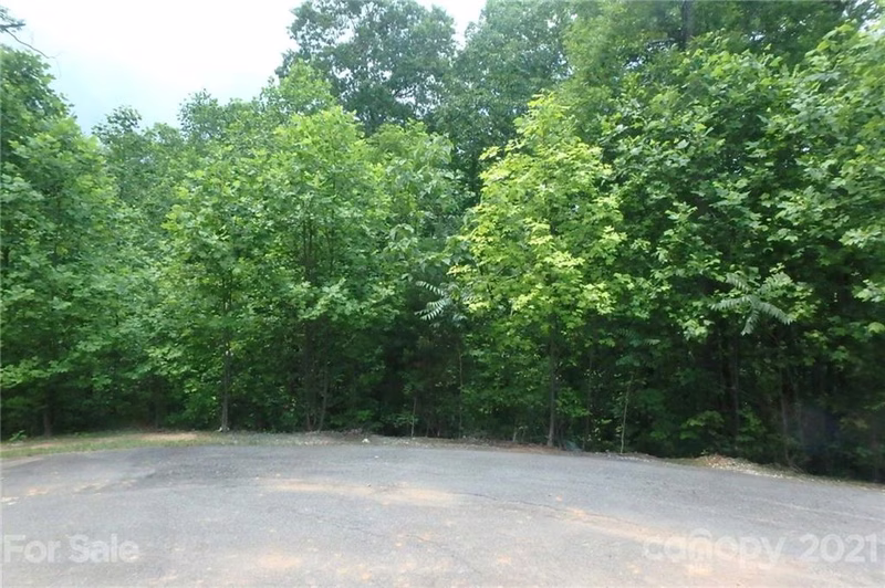 Property image 2 at 000 Floral Springs Drive, Marion, NC 28752