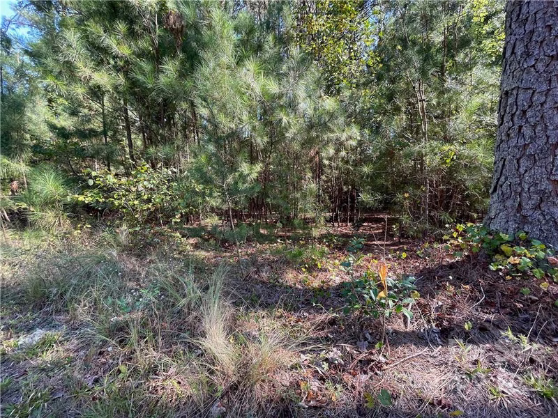 Property image 5 at 6199 Plantation Pointe Drive, Granite Falls, NC 28630
