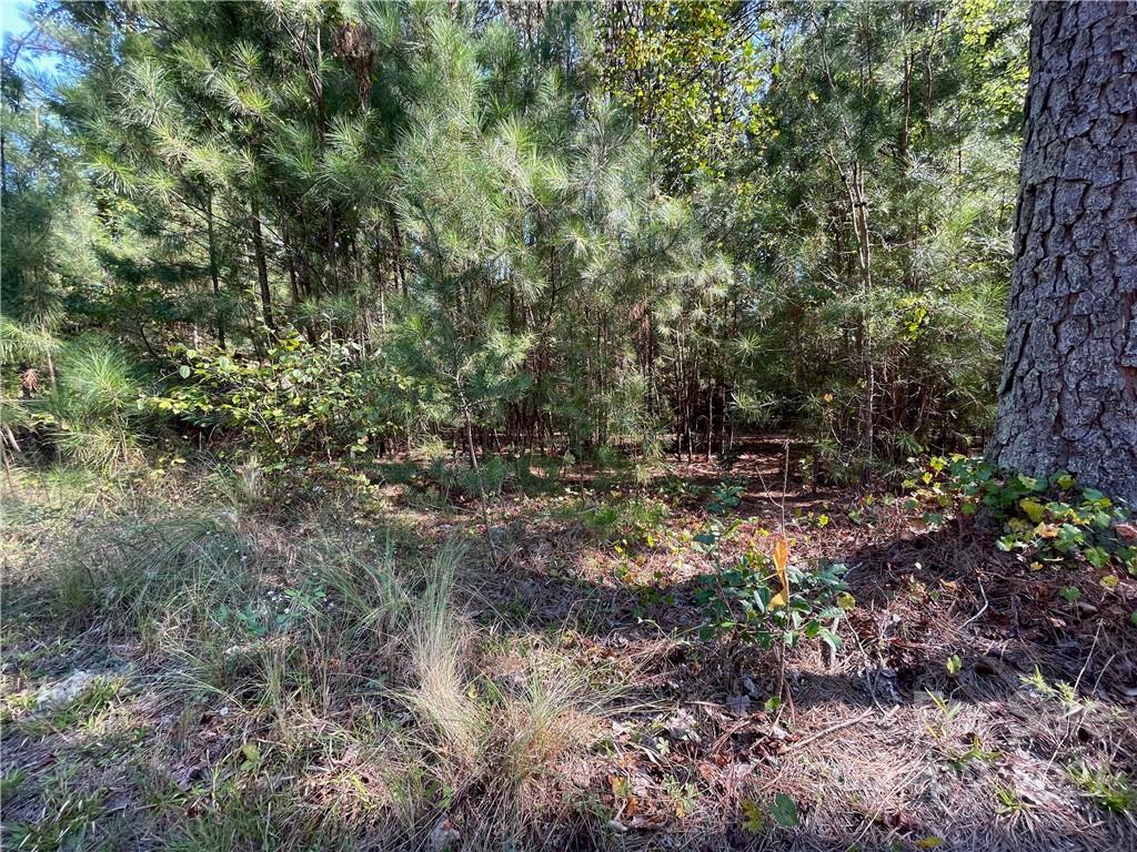 Property image 5 of 6199 Plantation Pointe Drive in Plantation Pointe, Granite Falls, NC 28630
