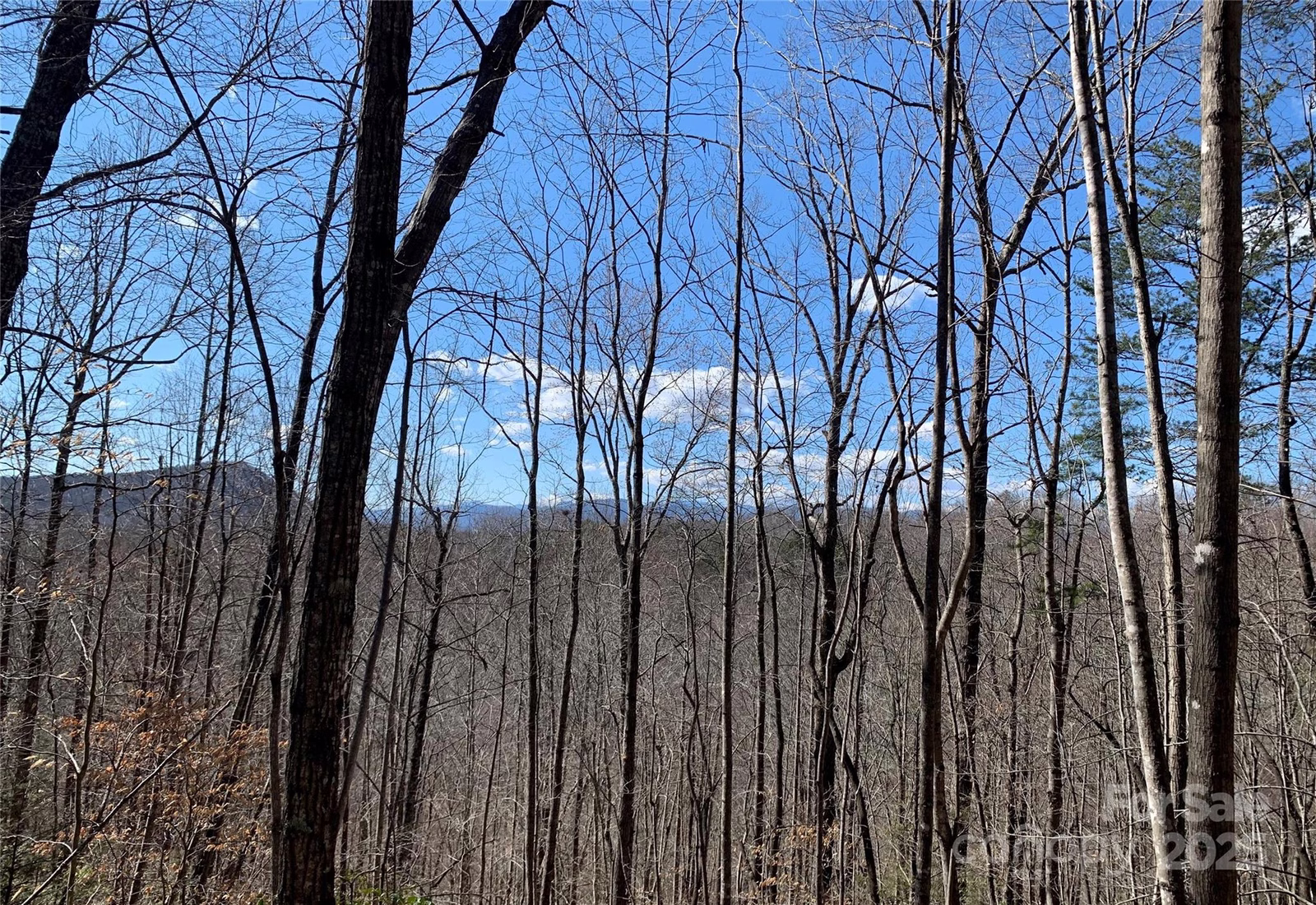 Property image 1 at 171 Woodchuck Lane, Marion, NC 28752