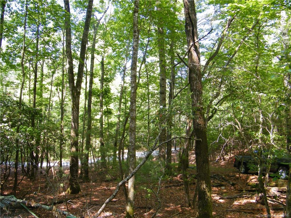 Property image 5 of 46 Kentwood Lane in Blue Ridge Overlook, Pisgah Forest, NC 28768