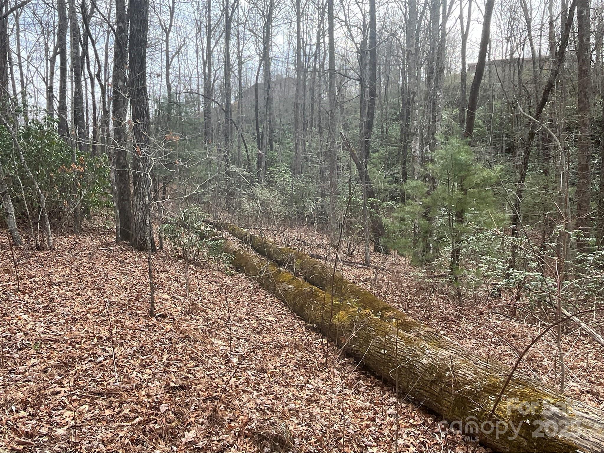 Property image 2 of 999 Panther Gap Road in Ridge Haven, Brevard, NC 28712