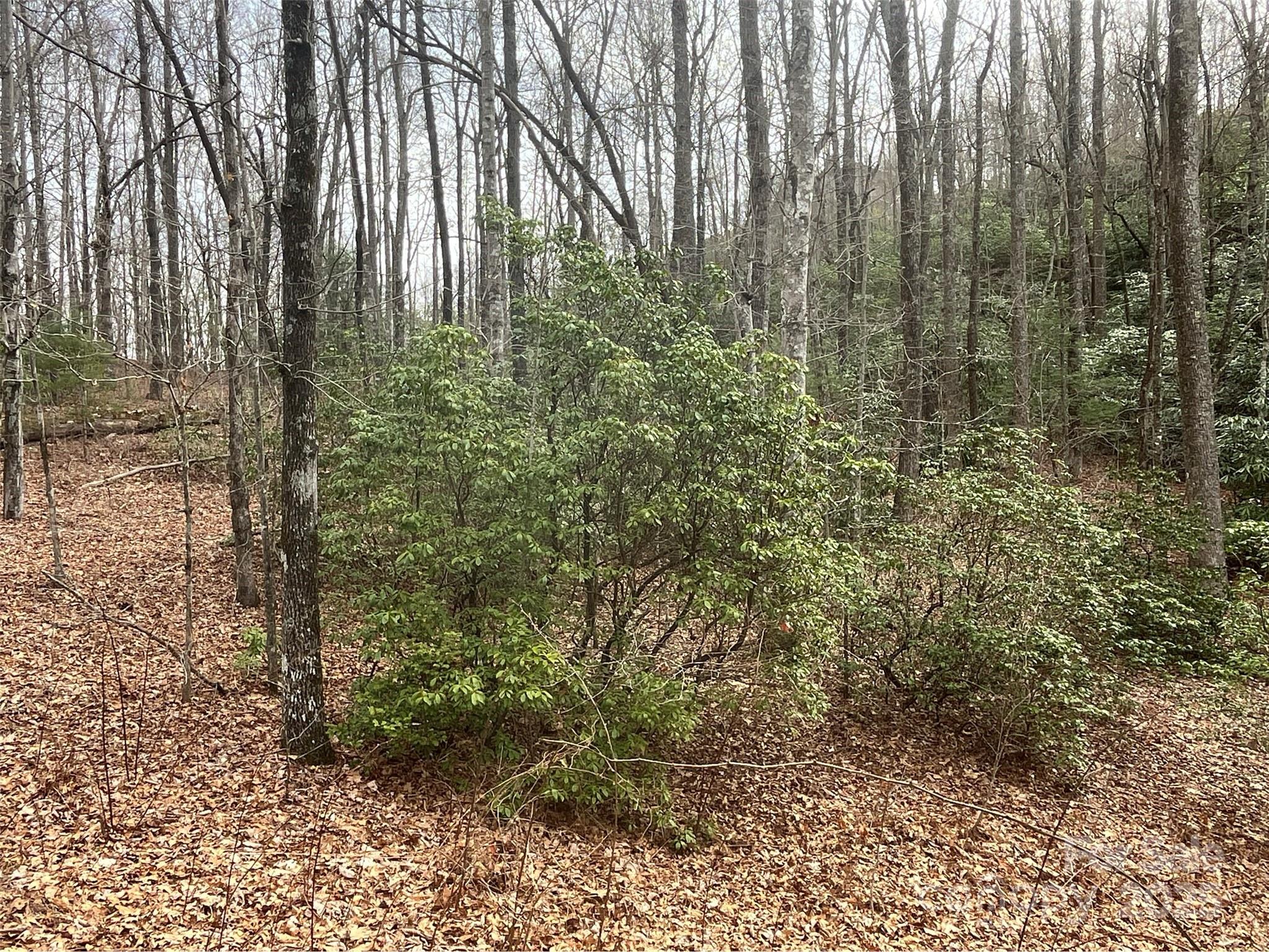 Property image 3 of 999 Panther Gap Road in Ridge Haven, Brevard, NC 28712
