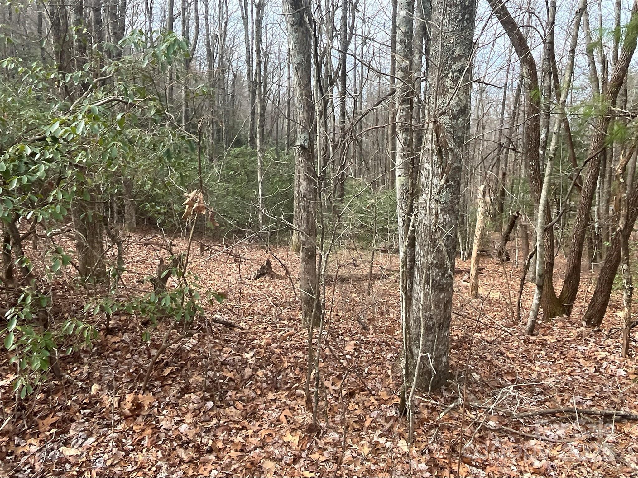 Property image 4 of 999 Panther Gap Road in Ridge Haven, Brevard, NC 28712