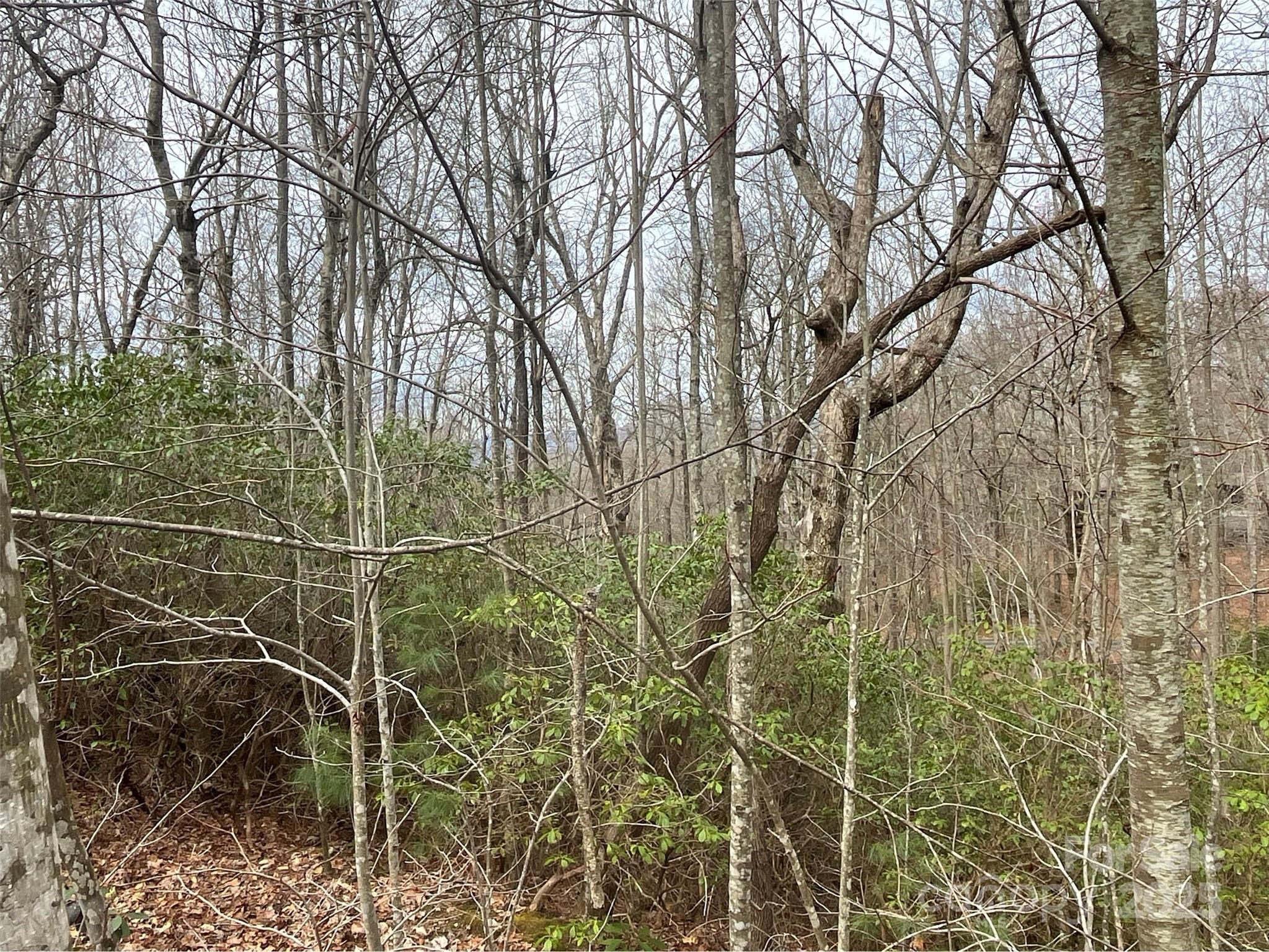 Property image 5 of 999 Panther Gap Road in Ridge Haven, Brevard, NC 28712