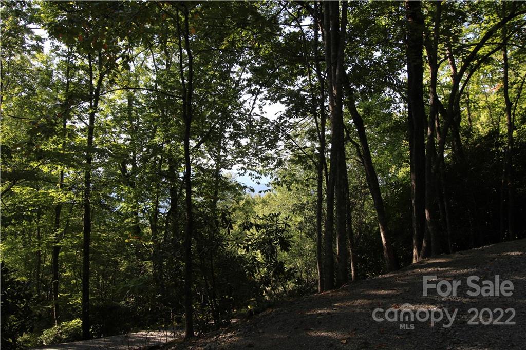Property image 3 of Tract 32b Kentwood Lane in Blue Ridge Overlook, Pisgah Forest, NC 28768